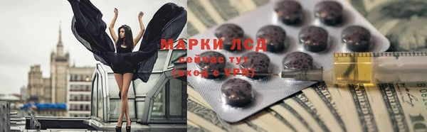 гидра Верея