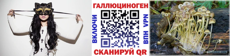 Псилоцибиновые грибы прущие грибы  Черногорск 